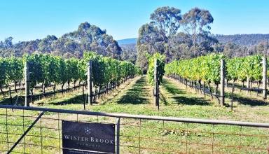 Other (Rural) For Sale - TAS - Loira - 7275 - Winter Brook Vineyard W.I.W.O. - An Exciting One Stop Opportunity (Image 2)