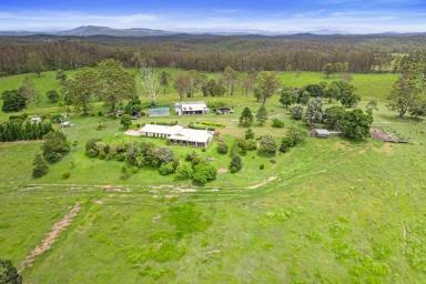 Lifestyle For Sale - QLD - North Deep Creek - 4570 - FANTASTIC LIFESTYLE OPPORTUNITY  (Image 2)