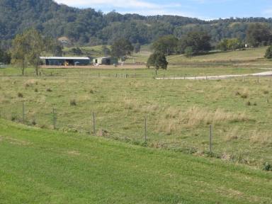 Lifestyle For Sale - NSW - Kyogle - 2474 - DA APPROVED INDUSTRIAL BLOCK  (Image 2)