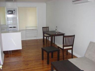 Unit Leased - NSW - Muswellbrook - 2333 - JUST SUCH A HANDY SPOT .....THIS 1 B/R SELF CONTAINED FURNISHED FLAT.  (Image 2)