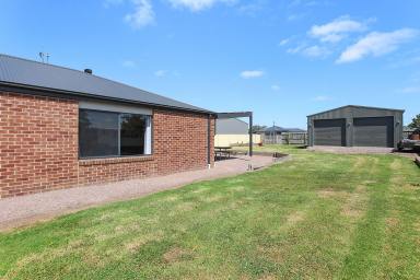 House For Sale - VIC - Terang - 3264 - Great Shed...... with Modern Home Included!  (Image 2)