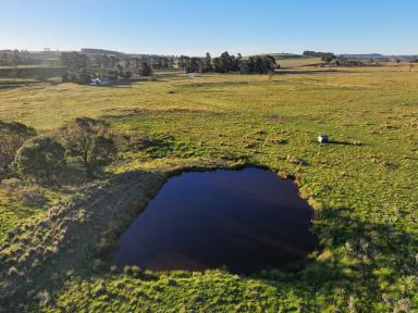 Other (Rural) For Sale - NSW - Nimmitabel - 2631 - Rural Lifestyle Production close to Surf & Snow  (Image 2)