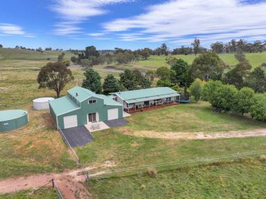 Other (Rural) For Sale - NSW - Nimmitabel - 2631 - Rural Lifestyle Production close to Surf & Snow  (Image 2)