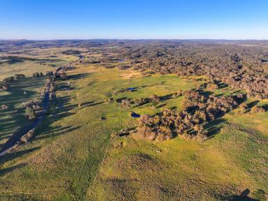 Other (Rural) For Sale - NSW - Nimmitabel - 2631 - Rural Lifestyle Production close to Surf & Snow  (Image 2)