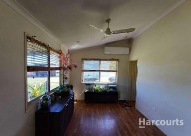 House For Lease - QLD - North Gregory - 4660 - Only Canefields For Neighbours!  (Image 2)