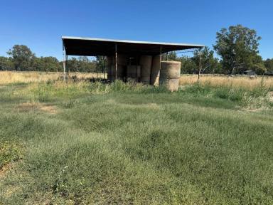 Mixed Farming For Sale - VIC - Rochester - 3561 - An opportunity not to be missed  (Image 2)