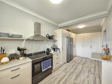House For Sale - nsw - Muswellbrook - 2333 - Freshly Renovated  (Image 2)