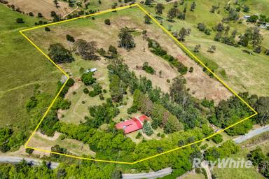 Lifestyle Sold - NSW - Gloucester - 2422 - Small Acreage Full of Country Charm  (Image 2)