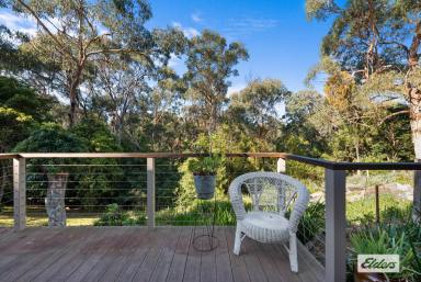 House For Sale - VIC - Metung - 3904 - Escape To The Country  (Image 2)