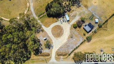 House For Sale - TAS - St Helens - 7216 - Black Gum Cottage - Sub Divisible property in paradise!  (Image 2)