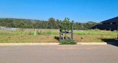 Residential Block For Sale - NSW - Hunterview - 2330 - 94 Dimmock St, Singleton NSW 2330  (Image 2)
