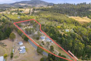 House For Sale - TAS - Copping - 7174 - Your home among the gum trees  (Image 2)