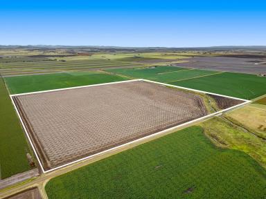 Cropping Sold - QLD - Clifton - 4361 - AUCTION - RETIREMENT BECKONS  (Image 2)