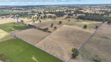 Mixed Farming For Sale - SA - Naracoorte - 5271 - Location Lifestyle and Quality  (Image 2)