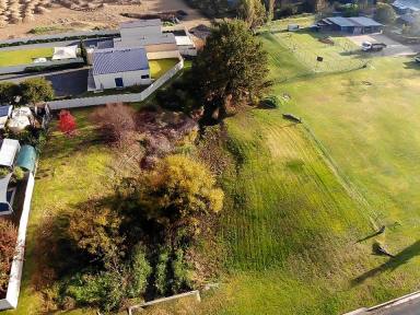 Residential Block For Sale - NSW - Tumut - 2720 - Building Block!  (Image 2)