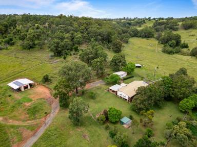 Livestock Sold - QLD - Groomsville - 4352 - "Groomsville Park"  (Image 2)