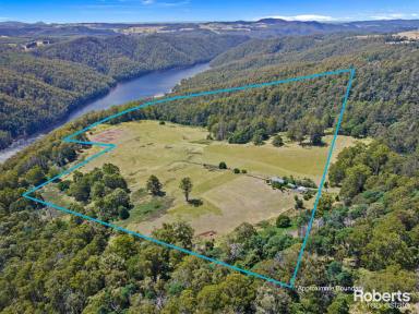 House For Sale - TAS - Staverton - 7306 - Paddocks for livestock, 2 bedroom home & studio on 105 acres (approx.)  (Image 2)