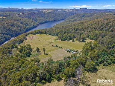 House For Sale - TAS - Staverton - 7306 - Paddocks for livestock, 2 bedroom home & studio on 105 acres (approx.)  (Image 2)