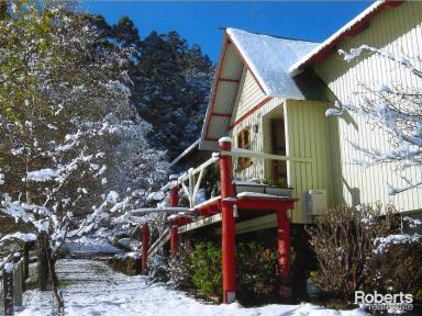 House For Sale - TAS - Staverton - 7306 - Paddocks for livestock, 2 bedroom home & studio on 105 acres (approx.)  (Image 2)