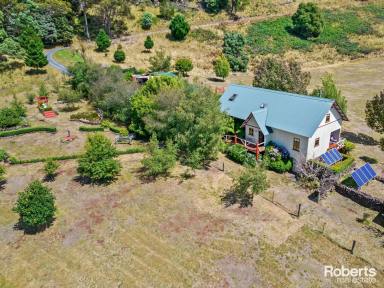 House For Sale - TAS - Staverton - 7306 - Paddocks for livestock, 2 bedroom home & studio on 105 acres (approx.)  (Image 2)