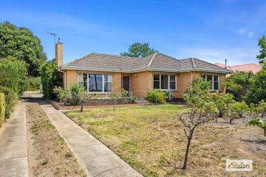 House Sold - VIC - Ararat - 3377 - Solid West End Family Home On Large Allotment  (Image 2)
