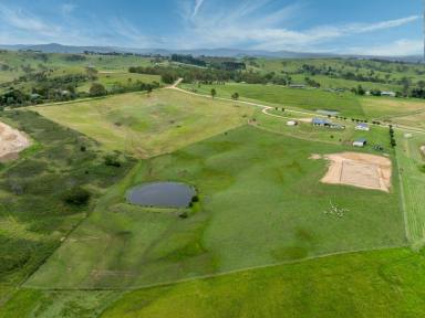 Acreage/Semi-rural For Sale - NSW - Wolumla - 2550 - LIFESTYLE LIVING AT ITS BEST  (Image 2)