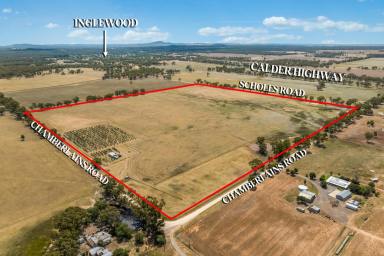 Other (Rural) For Sale - VIC - Inglewood - 3517 - High Quality, Productive Weekend Getaway  (Image 2)