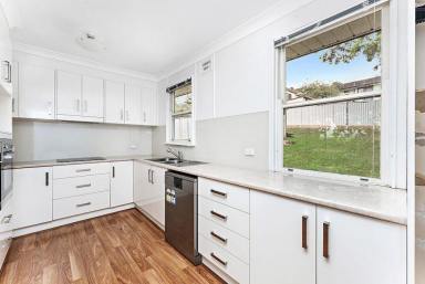 House Sold - NSW - Berkeley - 2506 - Perfectly Positioned Property  (Image 2)