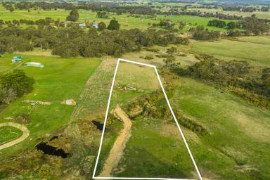 Other (Rural) For Sale - VIC - Ruffy - 3666 - Rare Ruffy Allotment with House Approval  (Image 2)