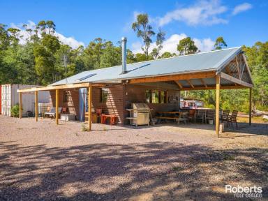 Lifestyle For Sale - TAS - Lower Beulah - 7306 - Adventure Awaits on Your Bushland cabin Weekend Retreat On 75 Acres Approx.  (Image 2)