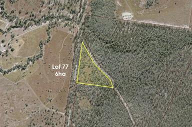 Livestock For Sale - QLD - Bucca - 4670 - 188.4ha LEASEHOLD CATTLE COUNTRY BUCCA  (Image 2)