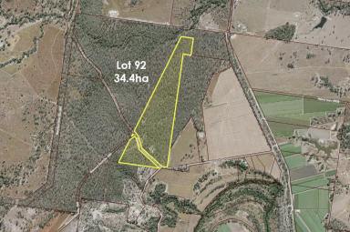 Livestock For Sale - QLD - Bucca - 4670 - 188.4ha LEASEHOLD CATTLE COUNTRY BUCCA  (Image 2)