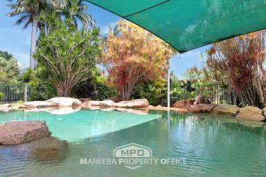 House Sold - QLD - Mareeba - 4880 - WYLANDRA ESTATE - FAMILY SIZE HOME + POOL & SHED  (Image 2)