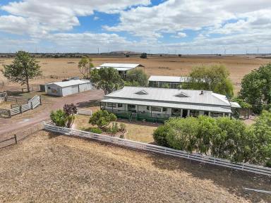 Farmlet For Sale - VIC - Birregurra - 3242 - BIRREGURRA LIFESTYLE AND CATTERY BUSINESS FOR SALE  (Image 2)