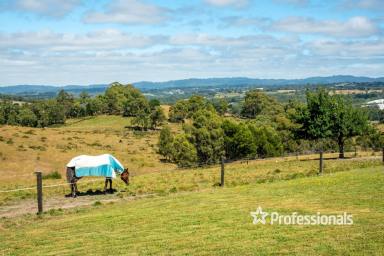 House For Sale - VIC - Woori Yallock - 3139 - EXPANSIVE ACREAGE AWAITING YOUR VISION  (Image 2)