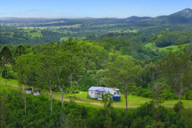 Acreage/Semi-rural For Sale - NSW - Willi Willi - 2440 - Secluded Retreat in Stunning Hinterland Setting = Outstanding Value  (Image 2)