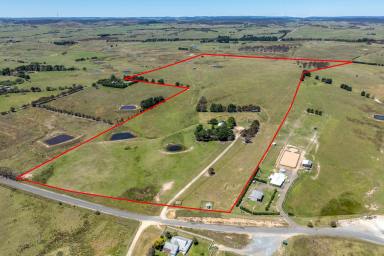 Lifestyle For Sale - NSW - Goulburn - 2580 - St Stephens Sanctuary!  (Image 2)