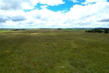 Other (Rural) For Sale - NSW - Goulburn - 2580 - Prime Location, Prime Land  (Image 2)