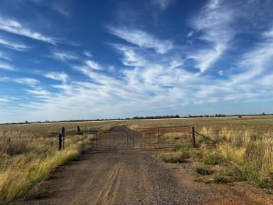 Cropping For Sale - VIC - Diggora West - 3561 - Prime Cropping and Grazing Country  (Image 2)