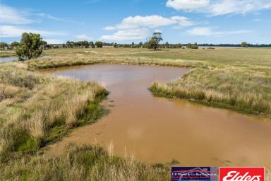 Other (Rural) For Sale - VIC - Fiery Flat - 3518 - 134.76 Ha / 333 Ac Productive Farming Land  (Image 2)