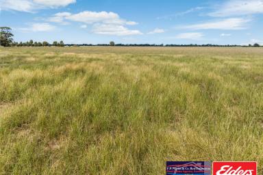 Other (Rural) For Sale - VIC - Fiery Flat - 3518 - 134.76 Ha / 333 Ac Productive Farming Land  (Image 2)