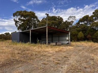 Other (Rural) Sold - VIC - Barongarook - 3249 - Outstanding High Profile Colac District Acreage  (Image 2)