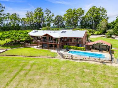 Acreage/Semi-rural For Sale - NSW - Congarinni - 2447 - Exceptional Rural Riverfront Lifestyle Property  (Image 2)