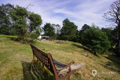 Lifestyle For Sale - VIC - Wonga - 3960 - PEACEFUL BUSH GETAWAY  (Image 2)
