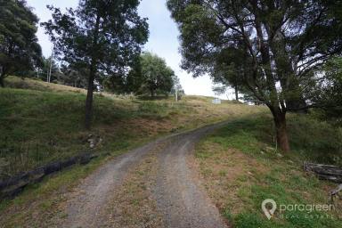 Lifestyle For Sale - VIC - Wonga - 3960 - PEACEFUL BUSH GETAWAY  (Image 2)