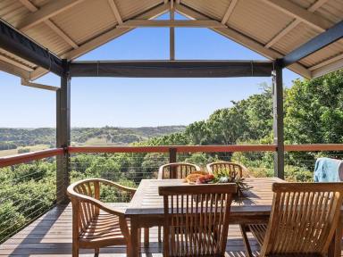 House Leased - NSW - Clunes - 2480 - Modern 2 Bedroom Villa With Spectacular Hinterland Views  (Image 2)