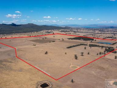 Cropping For Sale - NSW - Gerogery - 2642 - "Round Hill"  (Image 2)