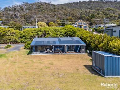 Residential Block For Sale - TAS - Bicheno - 7215 - Weekender  (Image 2)