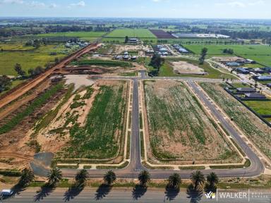 Residential Block For Sale - VIC - Kyabram - 3620 - Edge Kyabram - Stage 7  (Image 2)