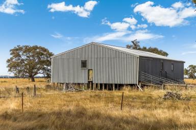 Mixed Farming Sold - VIC - Chepstowe - 3351 - 187.9Ha (approx. 464 acres); Unimproved farmland; 4 Titles to be Auctioned as a whole.  (Image 2)